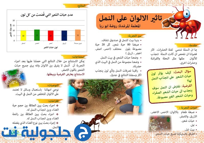 باحثو اليوم علماء المستقبل - مدرسة المستقبل الابتدائية في جلجولية